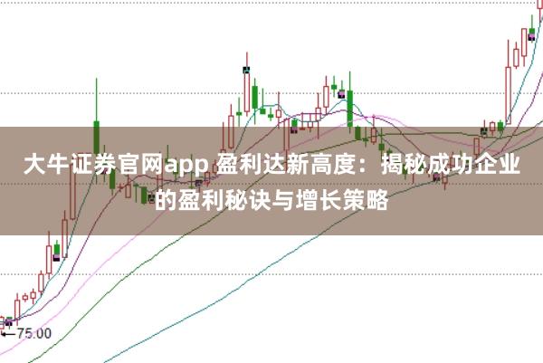 大牛证券官网app 盈利达新高度：揭秘成功企业的盈利秘诀与增长策略