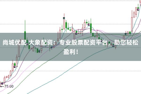 尚城优配 大象配资：专业股票配资平台，助您轻松盈利！