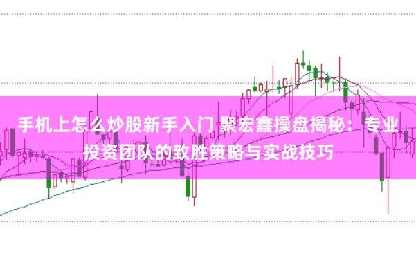 手机上怎么炒股新手入门 聚宏鑫操盘揭秘：专业投资团队的致胜策略与实战技巧