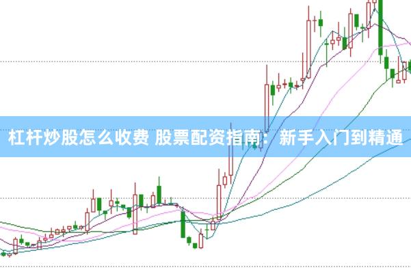 杠杆炒股怎么收费 股票配资指南：新手入门到精通