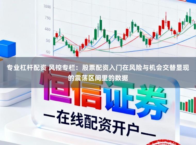 专业杠杆配资 风控专栏：股票配资入门在风险与机会交替显现的震荡区间里的数据