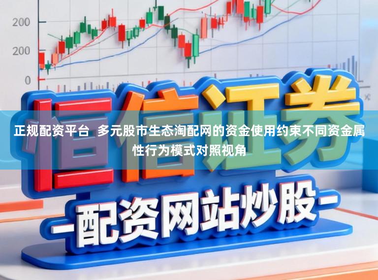 正规配资平台  多元股市生态淘配网的资金使用约束不同资金属性行为模式对照视角