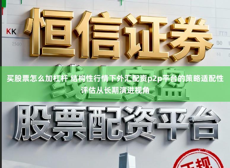 买股票怎么加杠杆 结构性行情下外汇配资p2p平台的策略适配性评估从长期演进视角