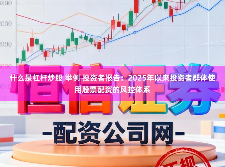 什么是杠杆炒股 举例 投资者报告：2025年以来投资者群体使用股票配资的风控体系